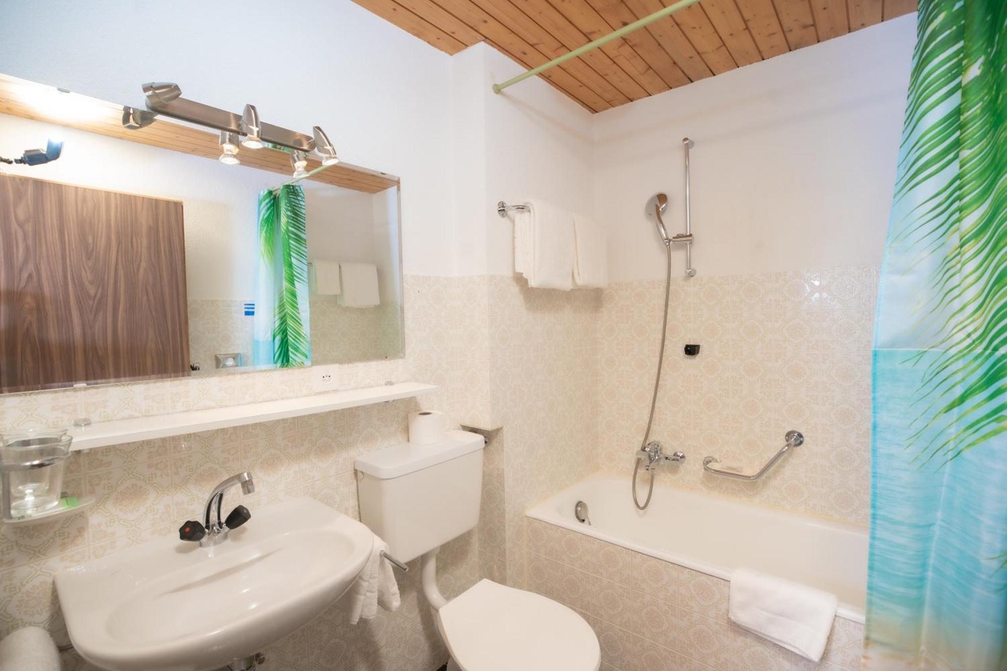 Hotel Alpenhof - Halbpension 3*