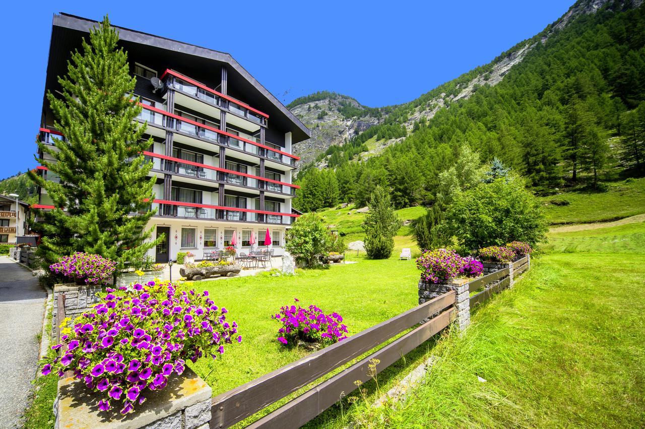 Alpenhof - Halbpension